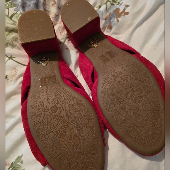 Red Slides - Picture 4 of 4